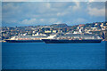 Brixham : Torbay Scenery