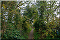 Brixham : Footpath