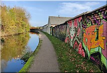 SP3380 : Graffiti along the towpath of the Coventry Canal by Mat Fascione