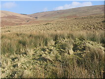NS8115 : Hillside of Wedder Dod towards Hay Cleuch by Chris Wimbush