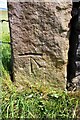 Benchmark on gatepost at entrance road to Ash Tree Farm