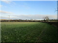 Grassland near Fulbeck