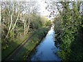 The canal from Victoria Road bridge