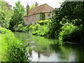 Wylye - River Wylye