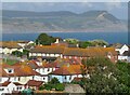 Lyme Regis - Roofscape