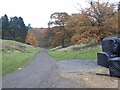 Access road leading under A1