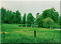 Lake in St Ibbs Park, St Ippolyts