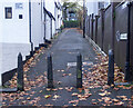 Highgate : Tile Kiln Lane