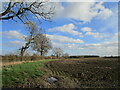 Prepared field, Muskham Woodhouse