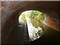 Bridgwater and Taunton Canal