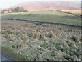 Wall to Conrig Hill near Clenries