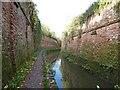 Deep cutting on the Bridgwater and Taunton Canal