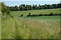 Farmland, Great Shefford