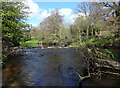 Weir on the River Nidd seen from the Horseshoe Field, Knaresborough