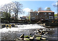 Weir and old mill on the River Nidd, Knaresborough