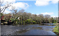 The River Nidd near Grimbald Crag, Knaresborough