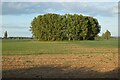 Farmland, Long Wittenham