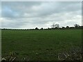 Farmland south of Crossways Farm