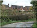 Newish houses in Withington