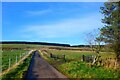 Road on Crichness Law