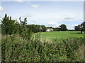 Grassland and the Old Water Tower