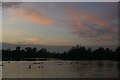 TM4759 : Late afternoon at The Meare, Thorpeness by Christopher Hilton