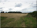 Stubble field and Oakley Bushes