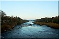 NZ1164 : The River Tyne at Wylam by Graham Robson