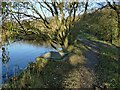 Outfall from Larkfield Tarn