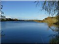 Looking along Larkfield Tarn