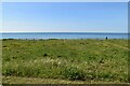 Cliff top grassland