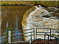 Weir on The River Roch near Blackford Bridge