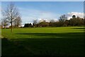 Harlow Common, at Potter Street