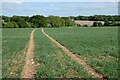 Farmland, St Mary Bourne