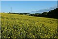 Farmland, St Mary Bourne