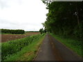 Minor road beside Sleights Holt Woodland