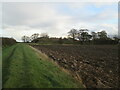 TA1340 : Bridleway  and  grassed  track  toward   Rowton  Farm by Martin Dawes
