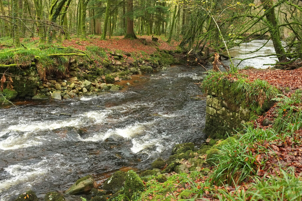 River Erme, Lukesland Wood © Derek Harper :: Geograph Britain and Ireland