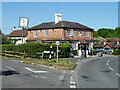 The Mucky Duck Inn, Tisman