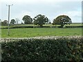 Farmland at Summerhill