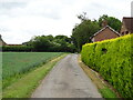 Road towards Church of St Andrew, Ashby Puerorum