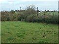 Hummocky grass field, west of Bowers Croft