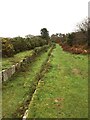 Disused Plymouth Leat