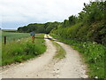 Farm track near Ulceby Cross