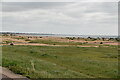 Grasses behind Eastney Beach