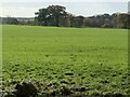 Hilderstone farmland, north-west of Sharpley Heath