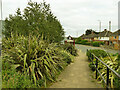 Urban planting, Hipperholme