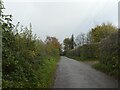 Road through Pond Close