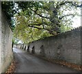 Buttressed wall by Fitzhead Road