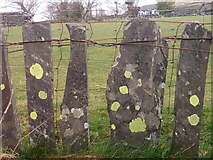 SH6369 : Slate fence with patches of lichen, Llanllechid by Meirion